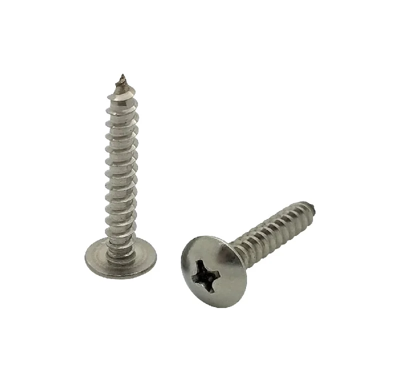 Small Screws for Electronics and Gadgets-300 Qty #8 x 1" Truss Head 304 Stainless Phillips Head Wood Screws (BCP158)